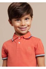 Erkek Çocuk Polo Yaka Tshirt - Görsel 3