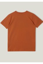 Turuncu Erkek Çocuk T-shirt - Görsel 3