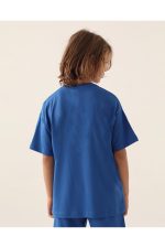 Authentic Carl Erkek Çocuk Mavi Regular Fit Tişört - Görsel 4