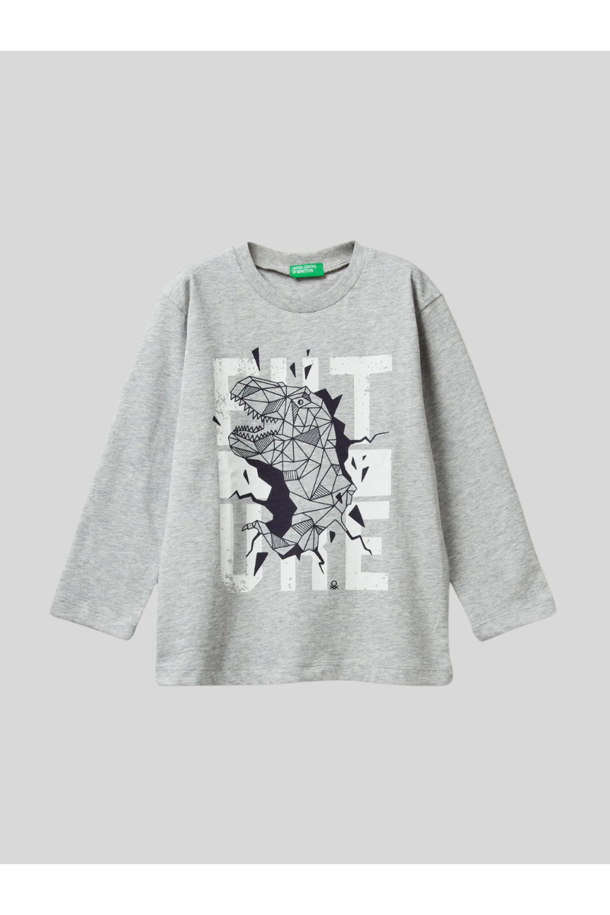 Erkek Çocuk Baskılı Sweatshirt 1-6 Yaş Gri