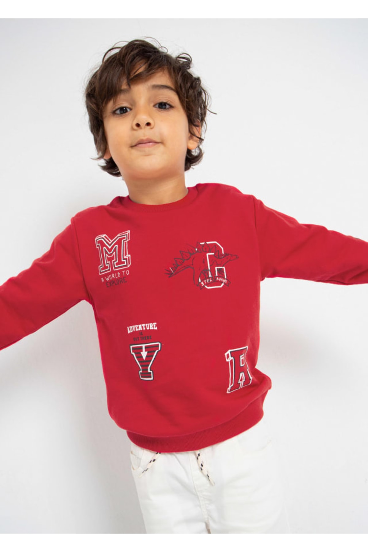 Erkek Çocuk Baskılı Sweatshirt