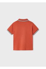 Erkek Çocuk Polo Yaka Tshirt - Görsel 6